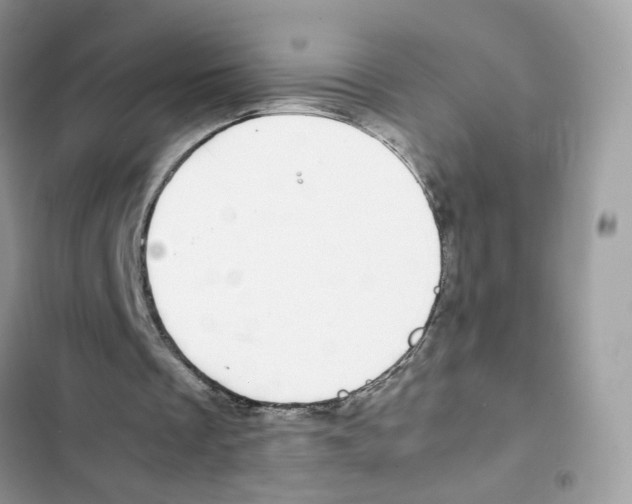X0000101990289200808151430
