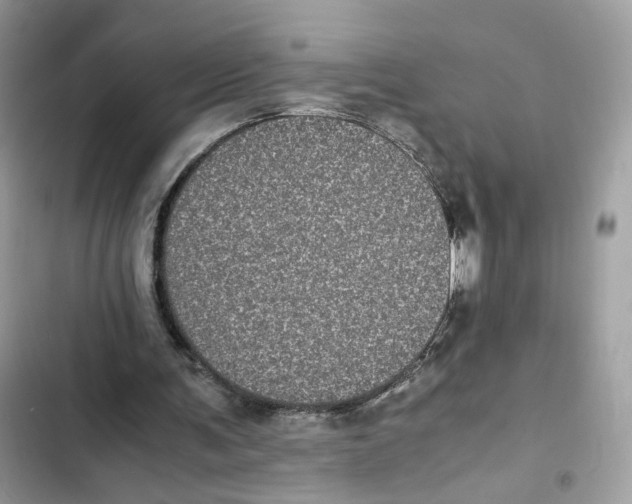 X0000101990291200808151430
