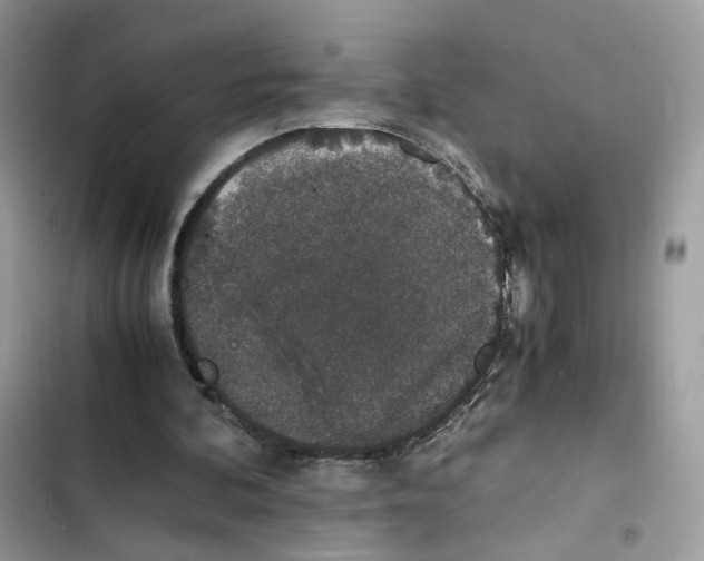X0000101990292200808151430
