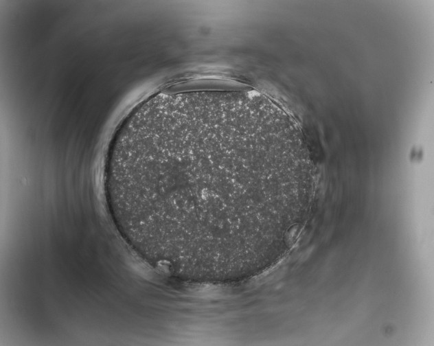 X0000101990293200808151430