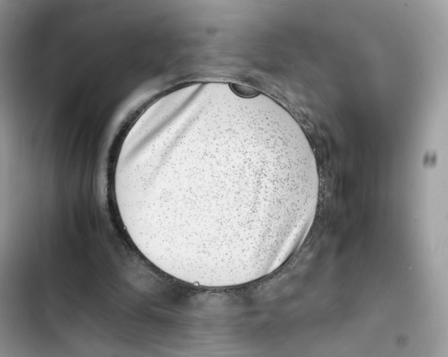 X0000101990294200808151430