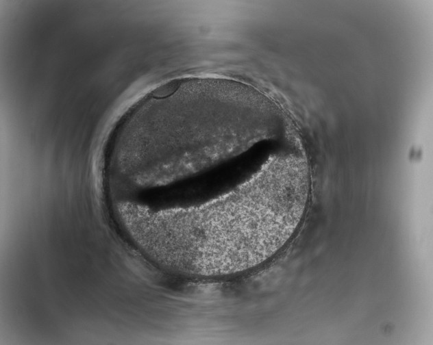 X0000101990295200808151430