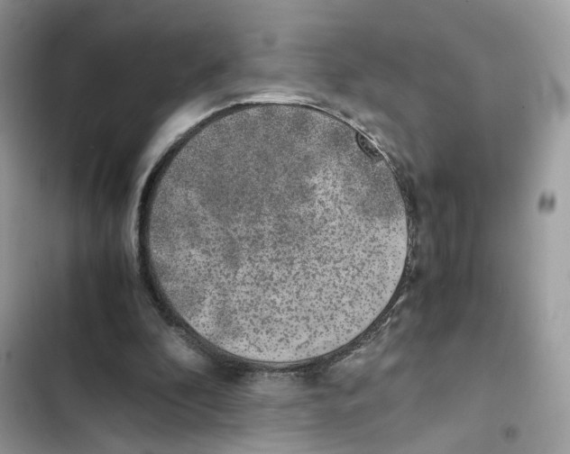 X0000101990296200808151430