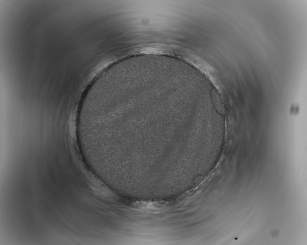 X0000101990297200808151430