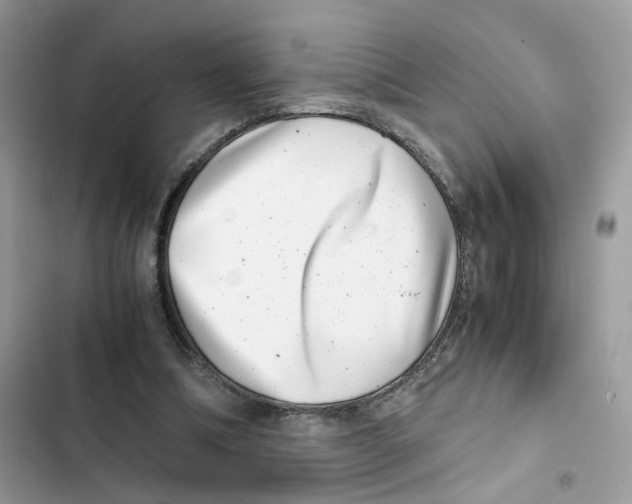 X0000101990298200808151430