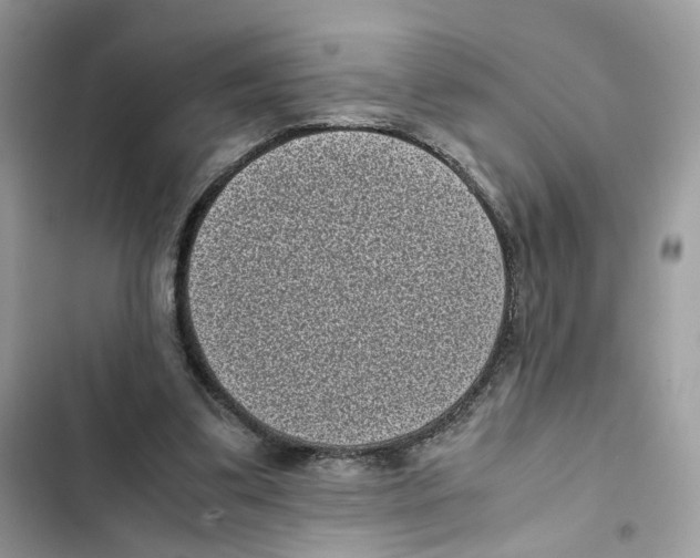 X0000101990299200808151430