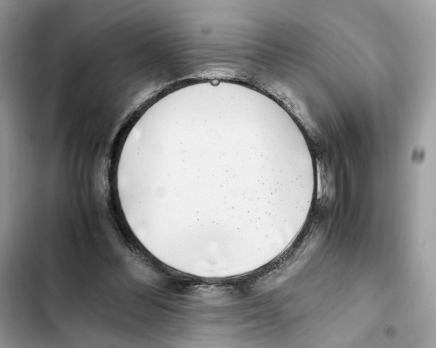 X0000101990300200808151430