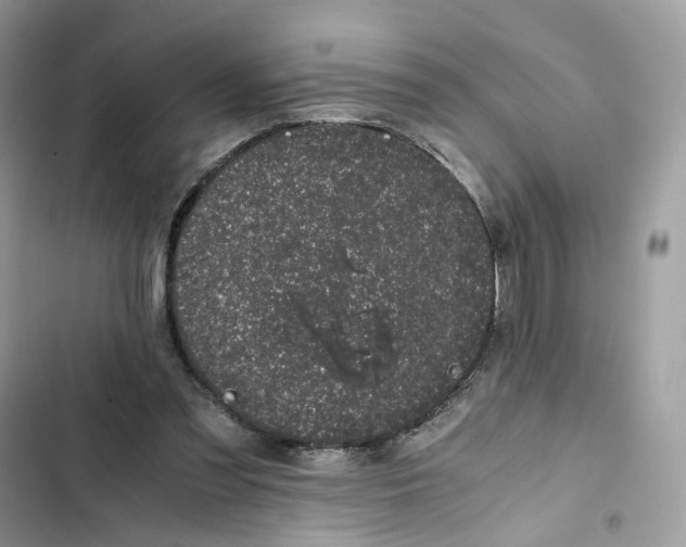 X0000101990301200808151430