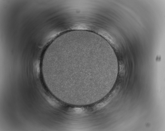 X0000101990302200808151430