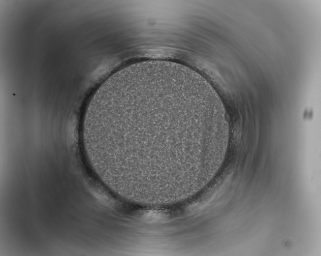 X0000101990303200808151430