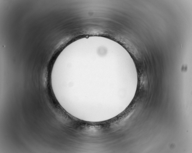 X0000101990304200808151430