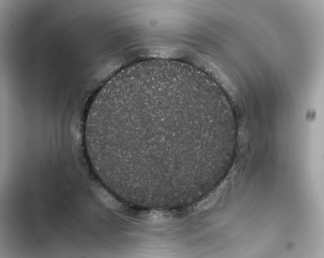 X0000101990305200808151430