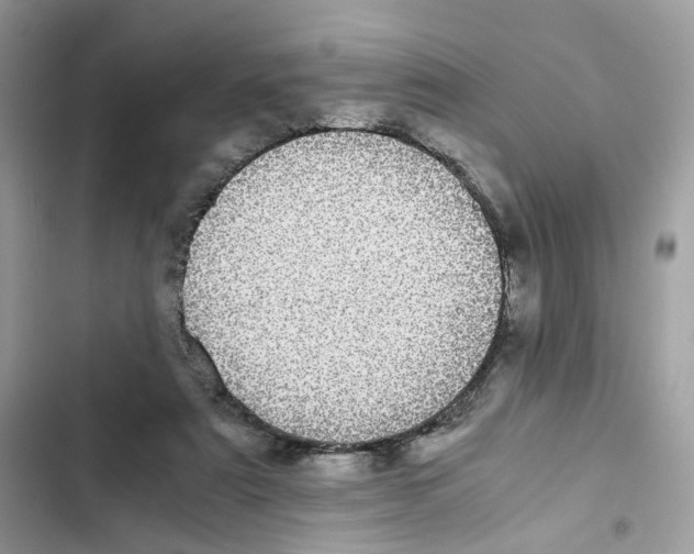 X0000101990307200808151430