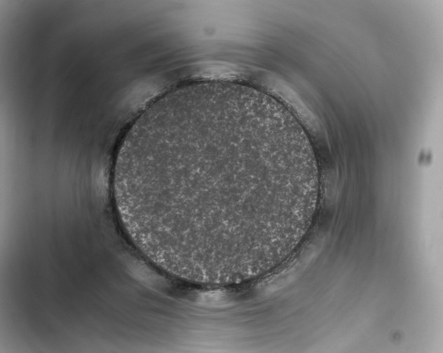 X0000101990309200808151430
