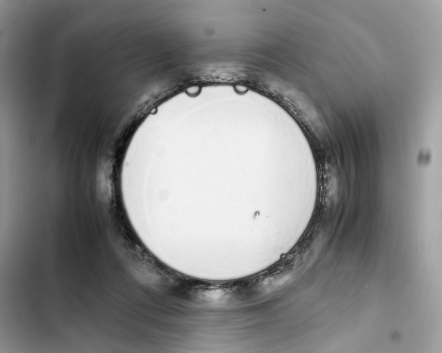 X0000101990312200808151430