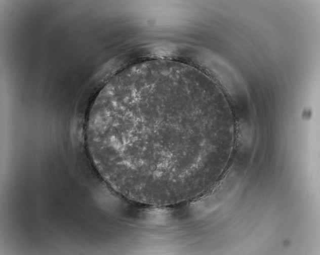 X0000101990313200808151430