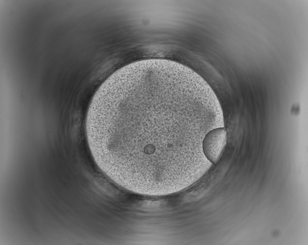 X0000101990314200808151430