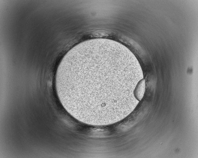 X0000101990315200808151430