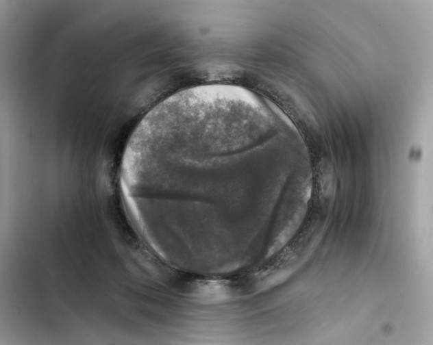 X0000101990316200808151430