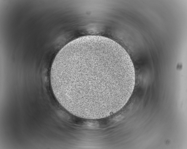 X0000101990317200808151430