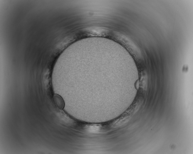 X0000101990318200808151430