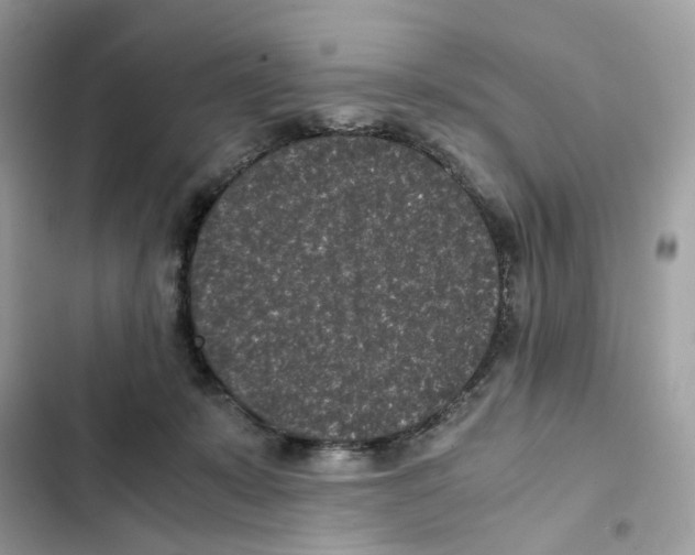 X0000101990319200808151430