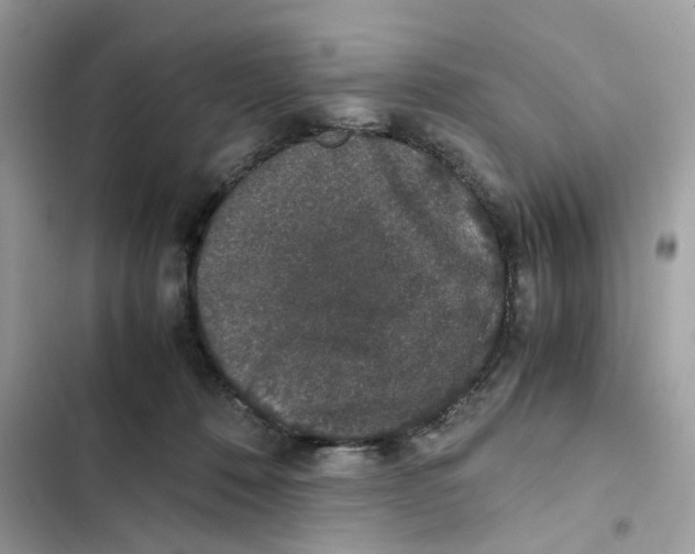 X0000101990320200808151430