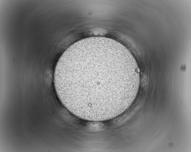 X0000101990321200808151430