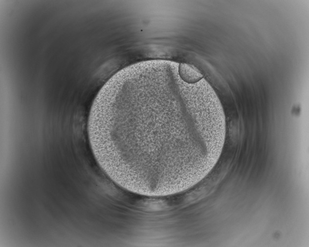 X0000101990322200808151430