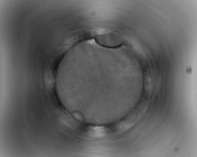 X0000101990324200808151430