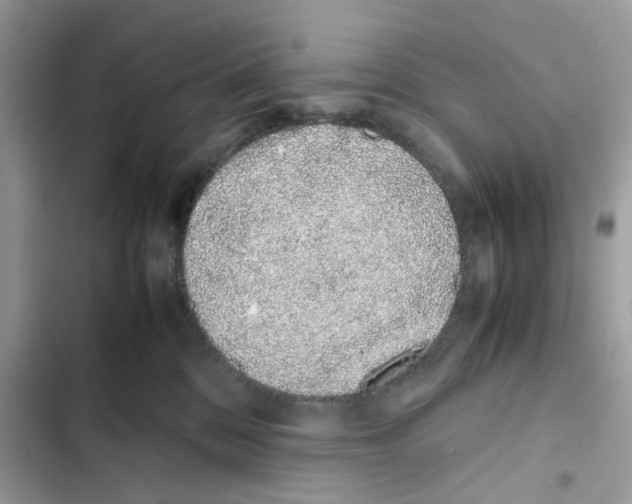 X0000101990328200808151430