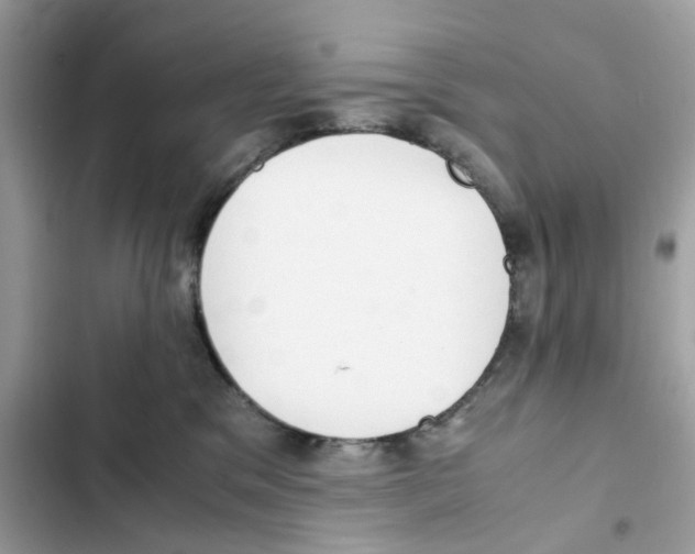 X0000101990329200808151430