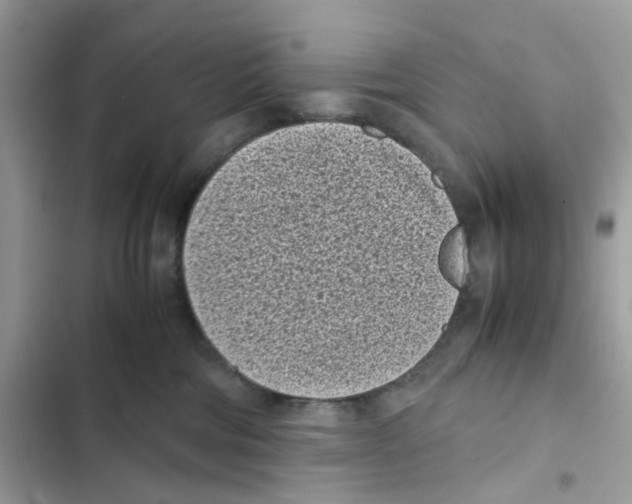 X0000101990330200808151430