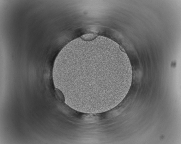 X0000101990331200808151430