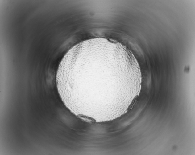 X0000101990332200808151430