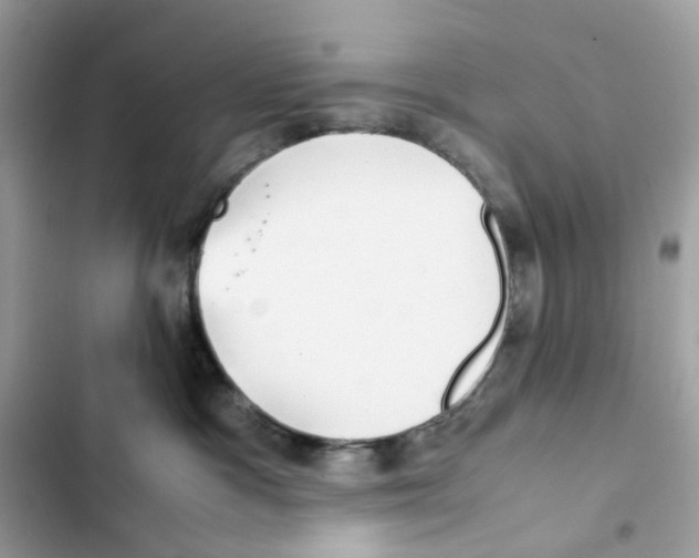 X0000101990333200808151430