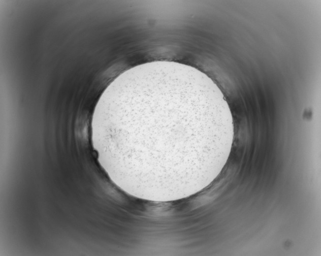 X0000101990334200808151430