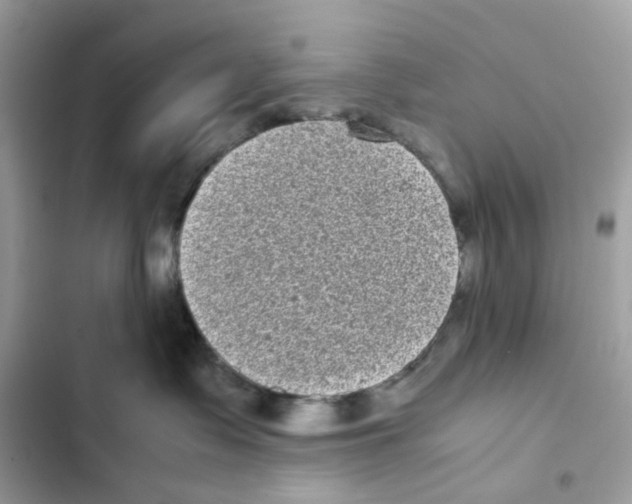 X0000101990335200808151429
