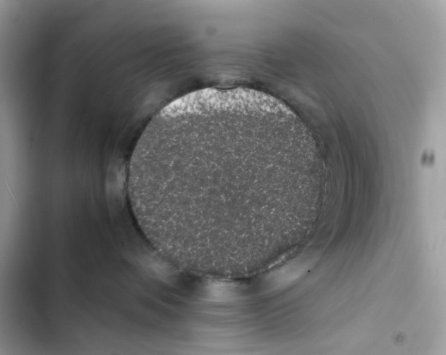 X0000101990336200808151429