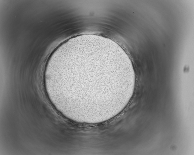 X0000101990337200808151429