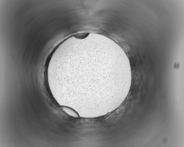 X0000101990338200808151429