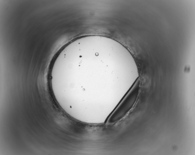 X0000101990340200808151429