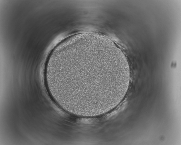 X0000101990341200808151429