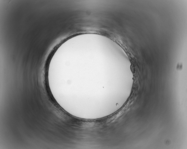X0000101990342200808151429