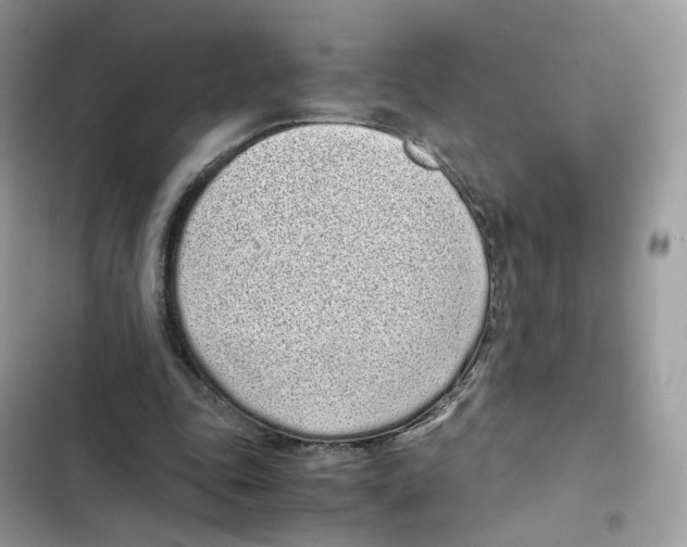 X0000101990343200808151429