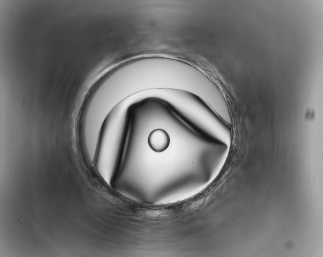 X0000101990344200808151429