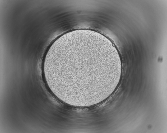 X0000101990345200808151429
