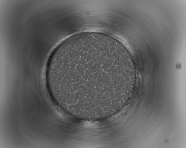 X0000101990346200808151429