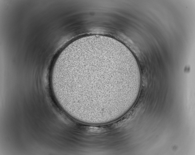 X0000101990347200808151429