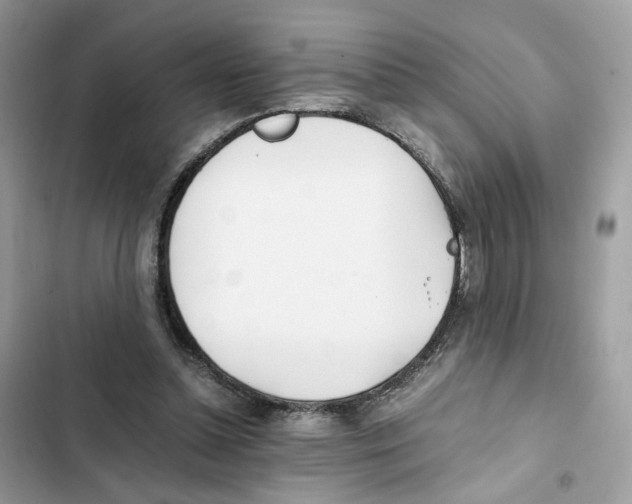 X0000101990348200808151429